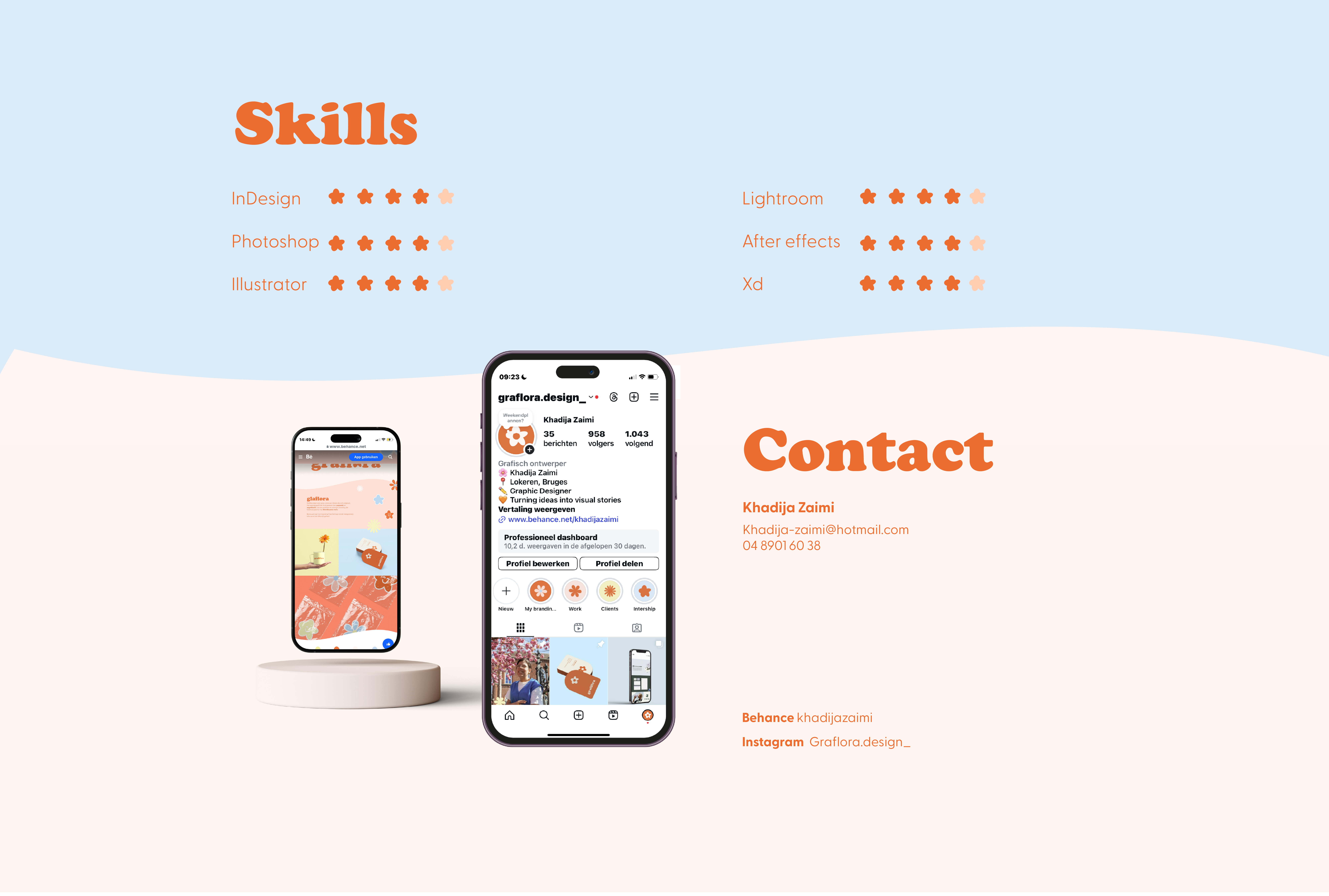 Overzicht van skills en contactinformatie
